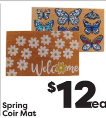 Weis Markets Spring coir mat offer