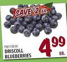 Driscoll blueberries
