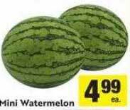 Save Mart Mini watermelon offer