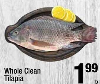 Super King Markets Whole clean tilapia offer