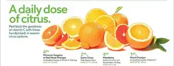 Publix Minneola tangelos or red navel oranges, sumo citrus, mandarins, navel oranges offer