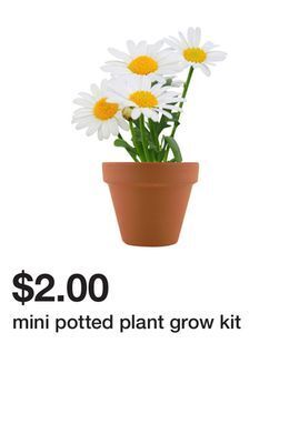 Five Below Mini potted plant grow kit offer