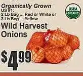 Food Universe Wild harvest onions offer