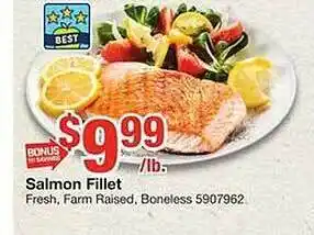 Giant Food Salmon fillet offer