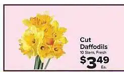 Foodtown supermarkets Cut daffodils offer