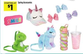 Dollar General Spring accessories offer