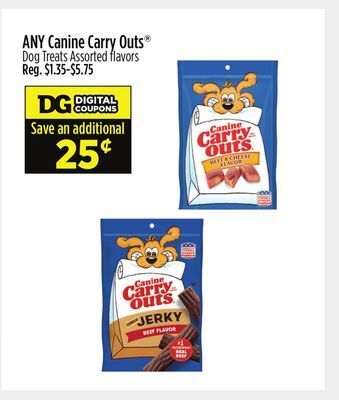 Dollar General Any canine carry outs® dog treats offer