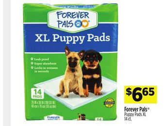 Dollar General Forever pals® puppy pads xl offer