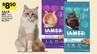 Dollar General Iams® cat or kitten food offer