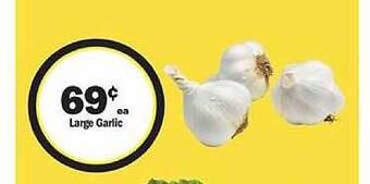 Large garlic