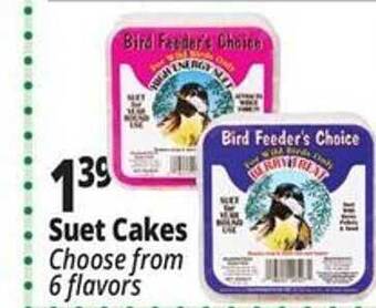 Ocean State Job Lot Suet cakes offer