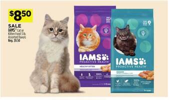 Dollar General Iams cat or kitten food offer