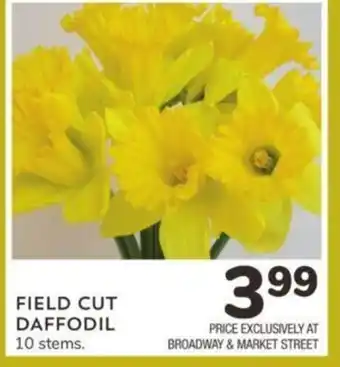 Albertsons Field Cut Daffodil offer