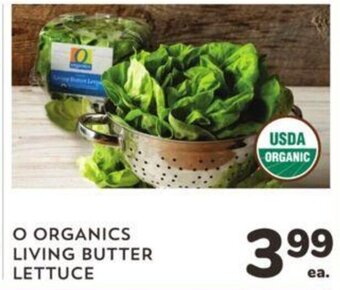 Albertsons O Organics Living Butter Lettuce offer