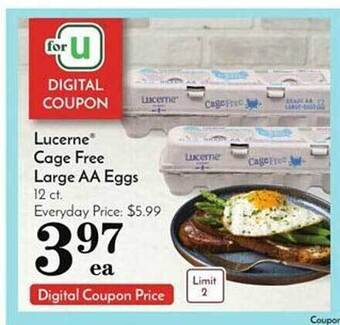 Pavilions Lucerne cage free large aa eggs offer