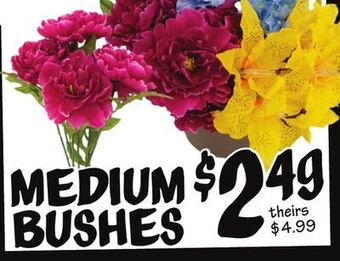 Ollie's Medium bushes offer