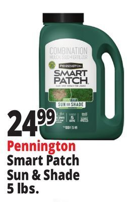 Ocean State Job Lot Pennington smart patch grass seed fertilizer mulch, 5 lbs offer