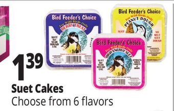 Ocean State Job Lot Bird feeder's choice high energy suet, 11 oz offer