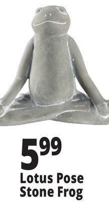 Ocean State Job Lot Lotus pose stone frog offer