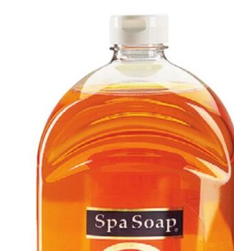 Ocean State Job Lot Spa soap offer