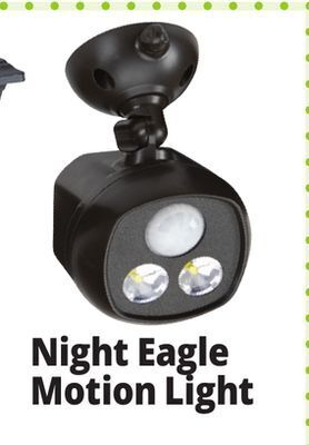 Ocean State Job Lot Night eagle motion-activated sensor security spotlight offer
