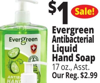 Ocean State Job Lot Evergreen antibacterial liquid hand soap offer