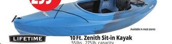 Ocean State Job Lot Lifetime zenith 10' sit-in kayak offer