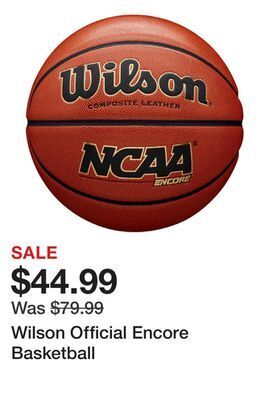 Dick's Sporting Goods Wilson official encore basketball offer