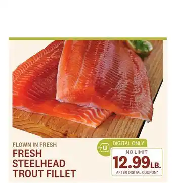 Balducci's Fresh steelhead trout fillet offer