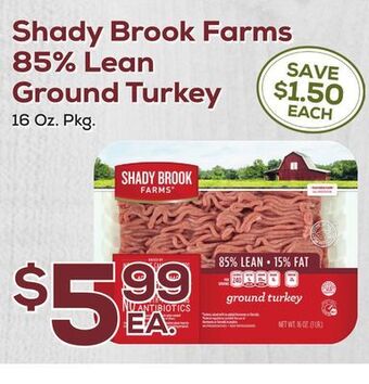 DeCicco & Sons Shady brook farms 85% lean ground turkey offer