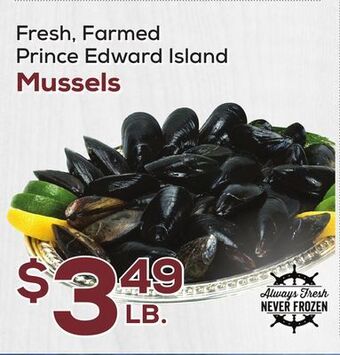 DeCicco & Sons Mussels offer