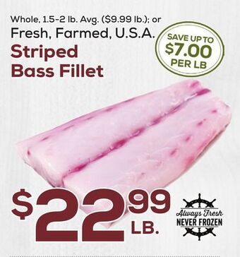 DeCicco & Sons Striped bass fillet offer