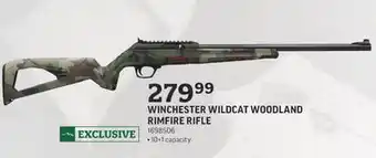 Sportsman's Warehouse Winchester wildcat woodland rimfire rifle offer