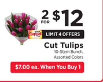 ShopRite Cut tulips offer