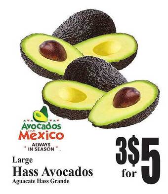Baja Ranch Large hass avocados offer