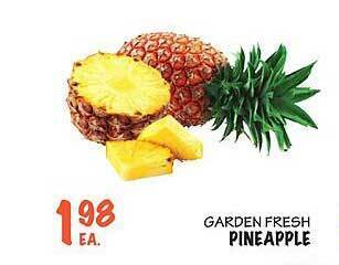 Foodarama Garden fresh pineapple offer