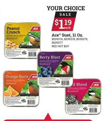 Ace Hardware Ace suet, 11 oz offer