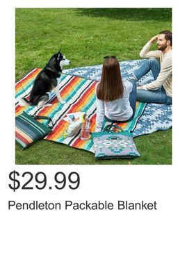 Costco Pendleton packable blanket offer
