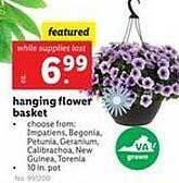 Lidl Hanging flower basket offer