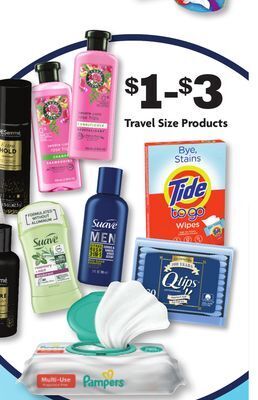 Family Dollar Travel size products offer