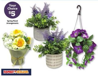 Family Dollar Spring floral arrangements offer