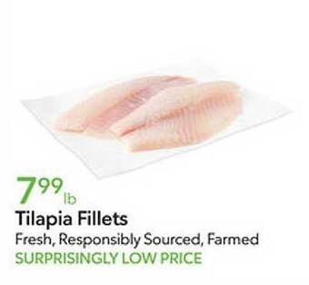 Publix Tilapia fillets offer