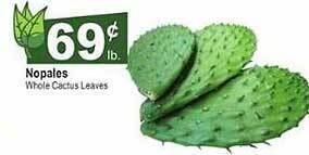 El Rio Grande Nopales offer