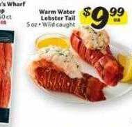 Winn Dixie Warm water lobster tail offer