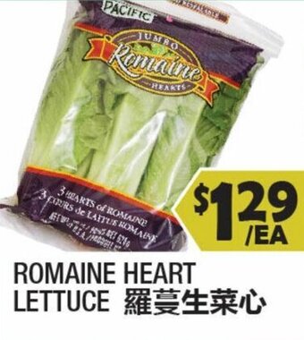 Romaine Heart Lettuce