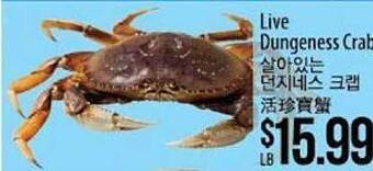 Hmart Live dungeness crab offer