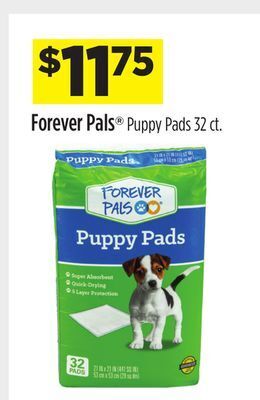 Dollar General Forever pals® puppy pads offer