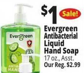 Ocean State Job Lot Evergreen antibacterial liquid hand soap offer