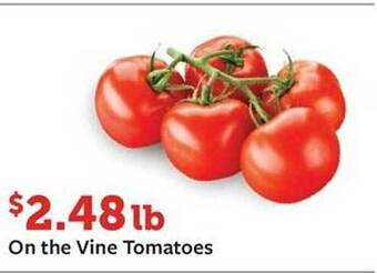 Fareway On the vine tomatoes offer