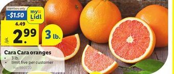 Lidl Cara cara oranges offer